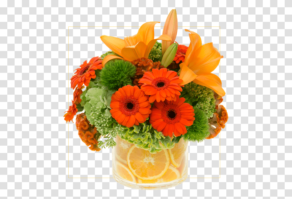 Bouquet, Plant, Floral Design Transparent Png