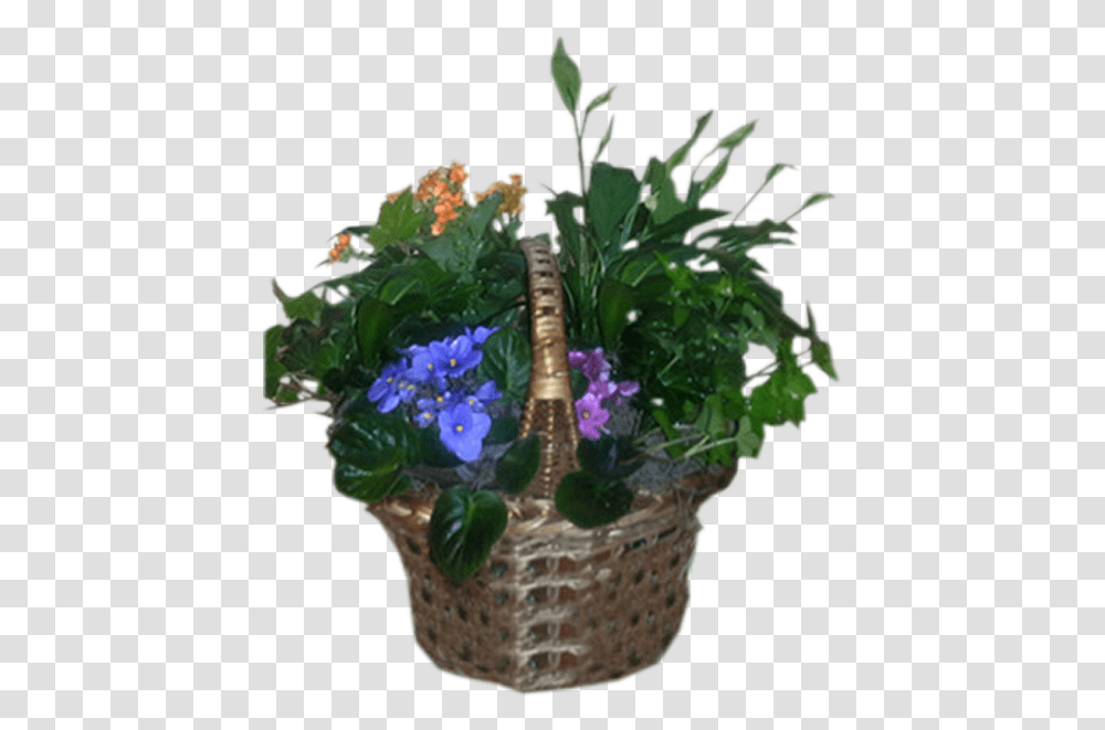 Bouquet, Plant, Potted Plant, Vase, Jar Transparent Png