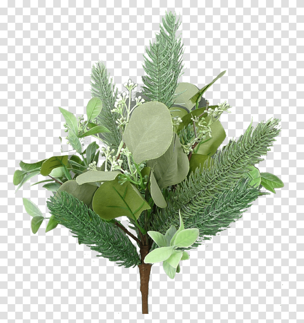 Bouquet, Plant, Vase, Jar, Pottery Transparent Png