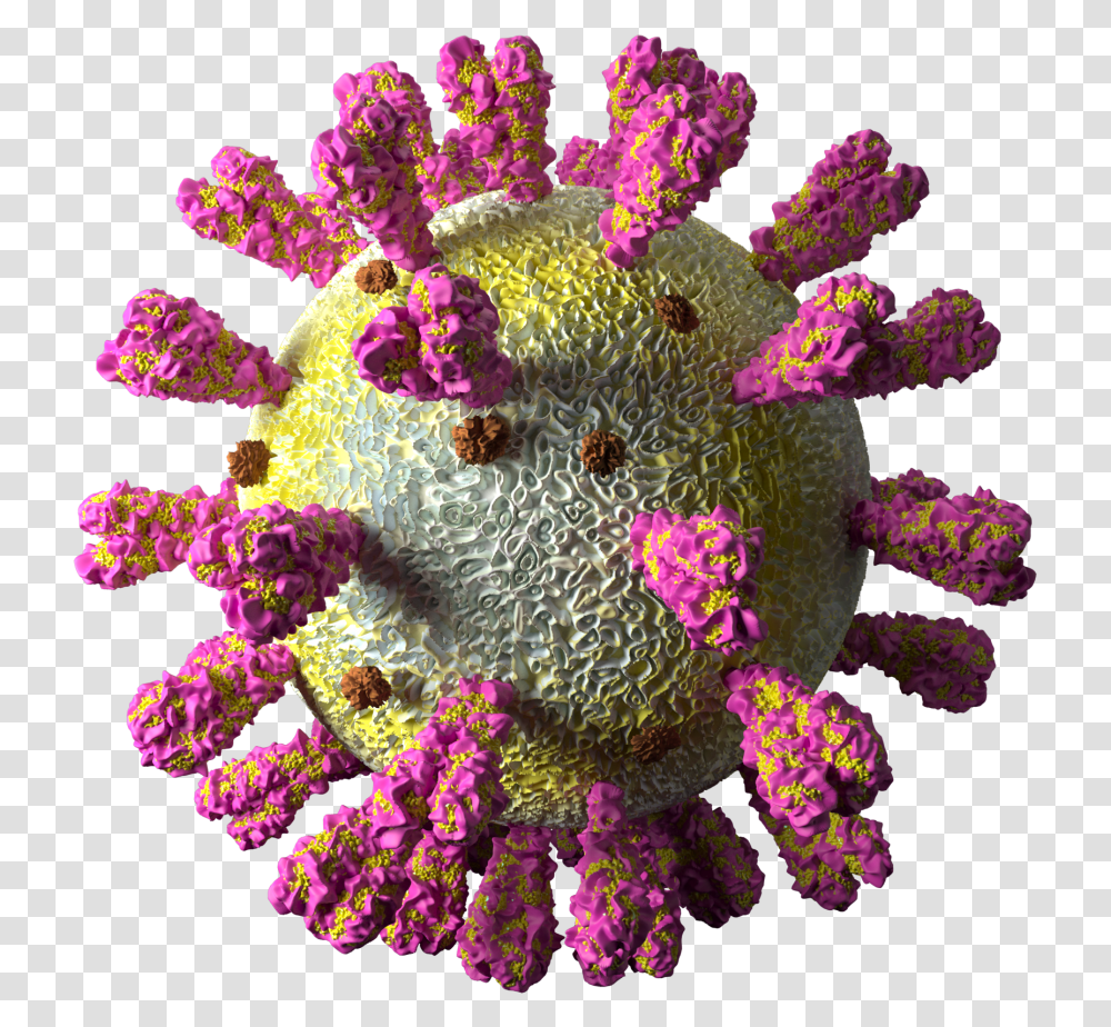 Bouquet, Sea Life, Animal, Outdoors, Water Transparent Png