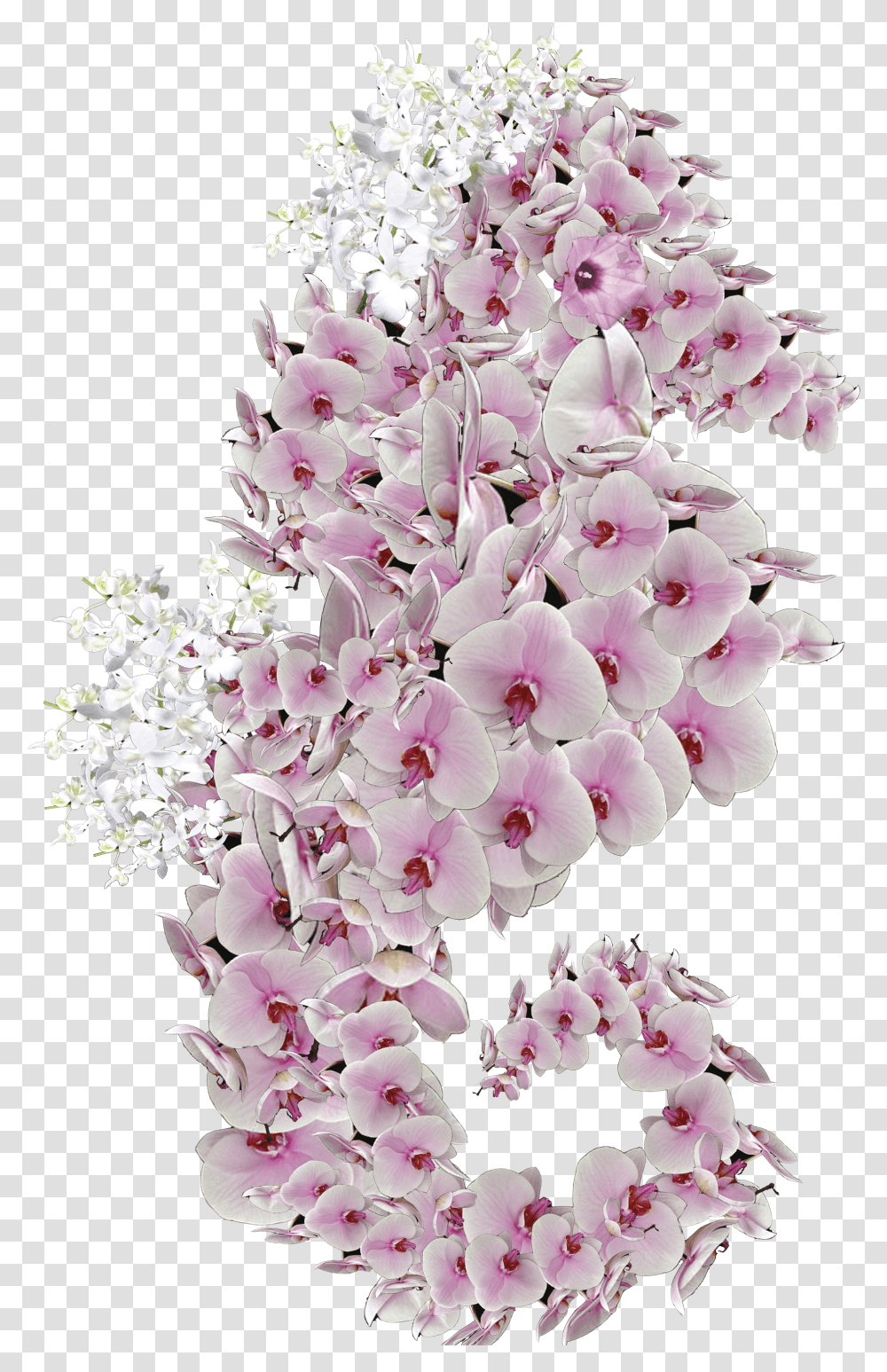 Bouquet Transparent Png