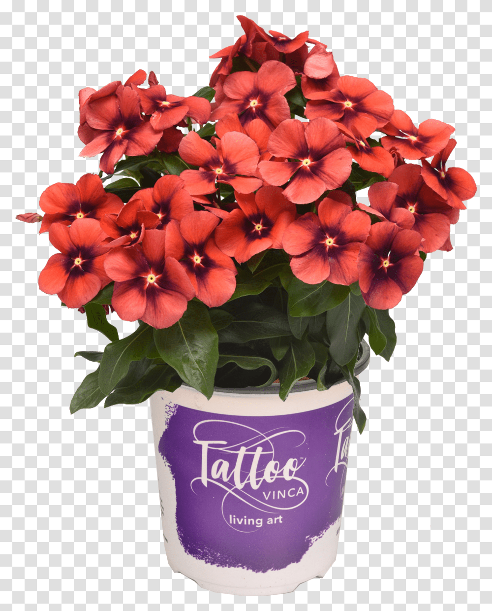 Bouquet Transparent Png