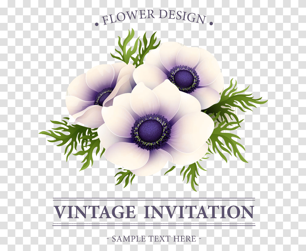 Bouquet Vector Anemone Flower, Plant, Graphics, Art, Daisy Transparent Png