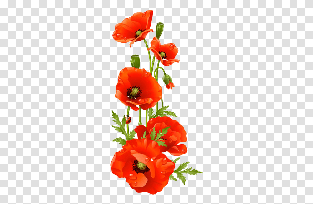 Bouquet Vector Poppy Red Poppy Flower Clipart, Plant, Blossom, Petal, Anther Transparent Png
