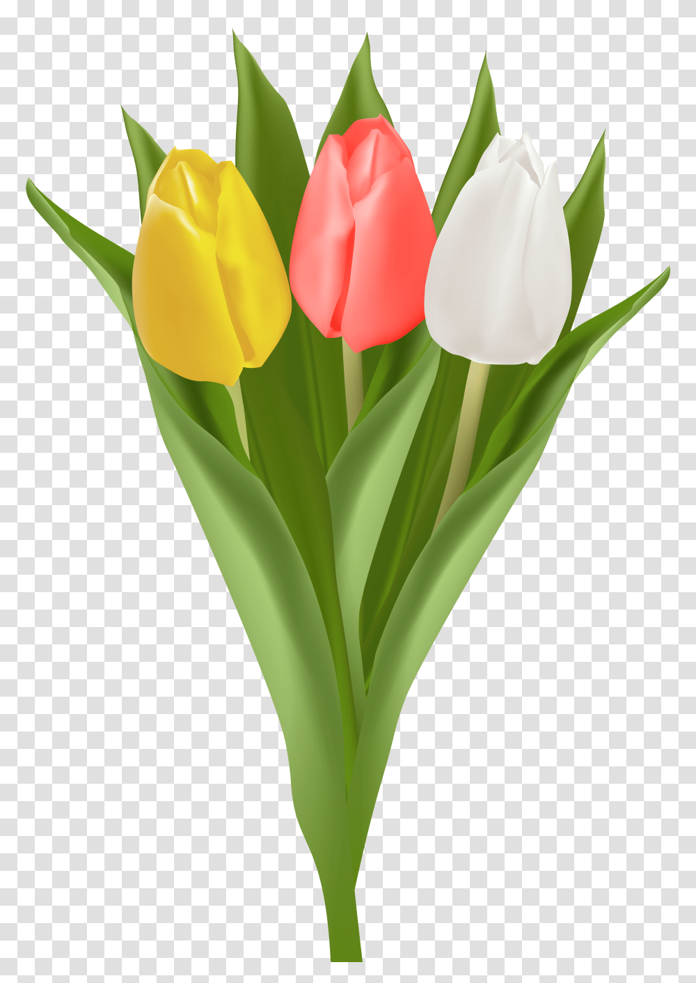 Bouquet With Tulips Clip Art Transparent Png