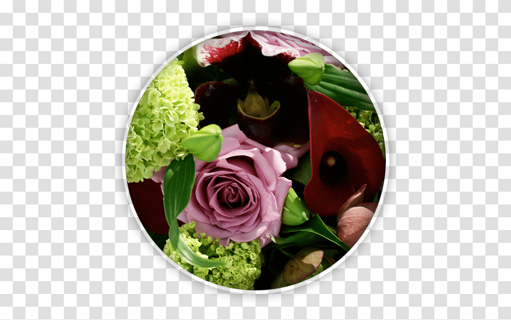 Bouquets Amp Flowers Floribunda, Plant, Blossom Transparent Png