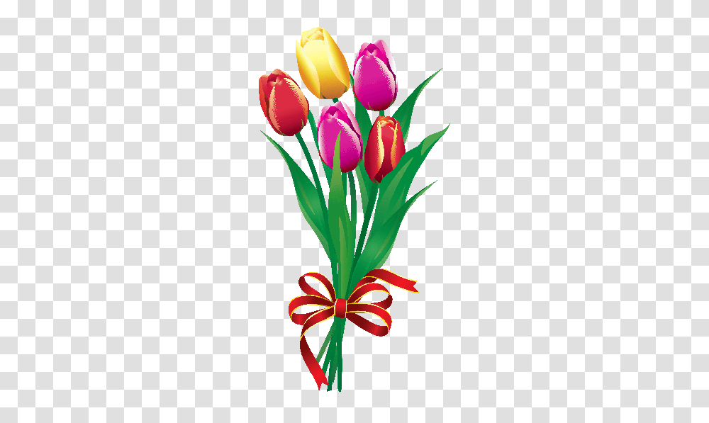 Bouquets Cliparts, Plant, Flower, Blossom, Tulip Transparent Png