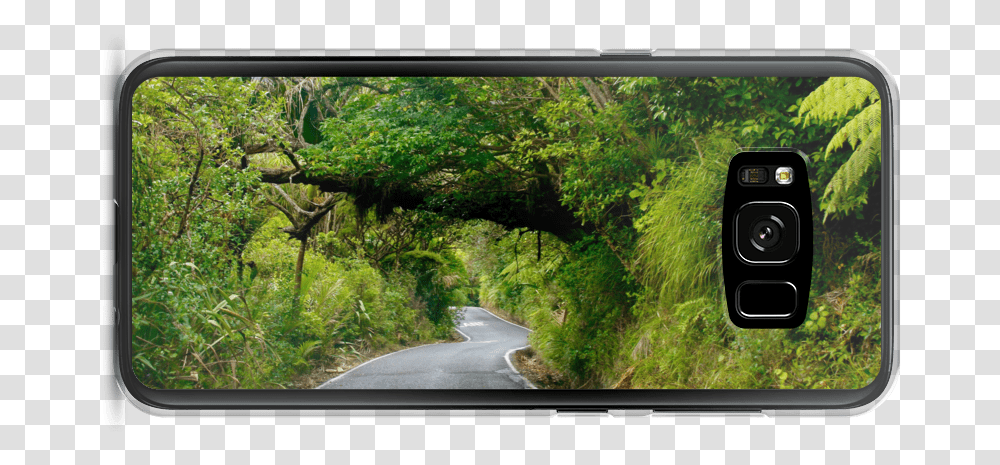 Boutique Photography New Zealand Middle Earth - Emmanuelle Perryman Woodland, Vegetation, Plant, Monitor, Screen Transparent Png