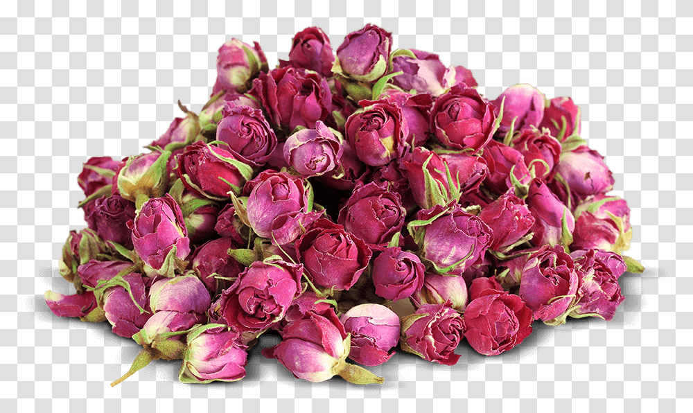 Bouton De Rose Sche, Plant, Flower, Blossom, Flower Bouquet Transparent Png