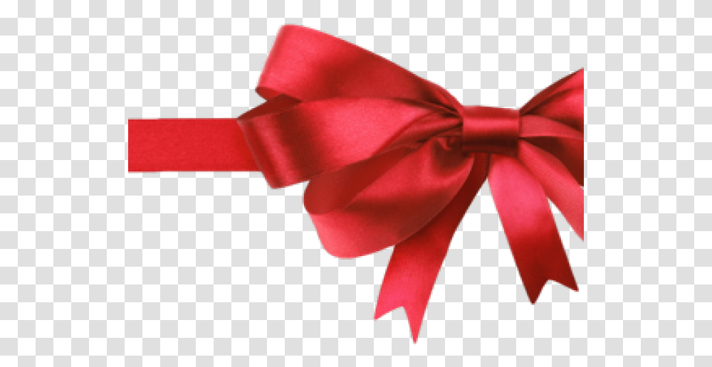 Bow Images Now Offering Gift Certificates, Tie, Accessories, Accessory, Necktie Transparent Png