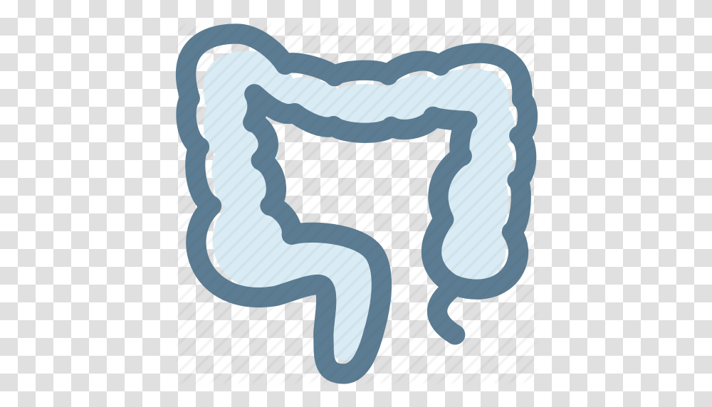 Bowel Colon Digestion Human Internal Organ Large Intestine Icon, Diaper, Outdoors, Label Transparent Png