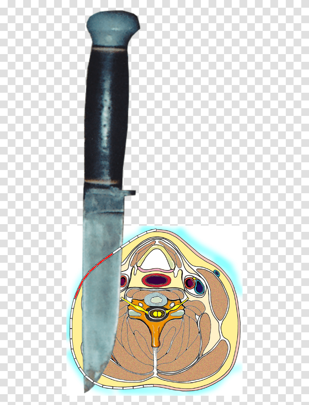 Bowie Knife, Weapon, Weaponry, Blade Transparent Png