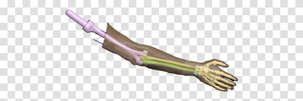 Bowie Knife, Weapon, Weaponry, Blade, Sword Transparent Png