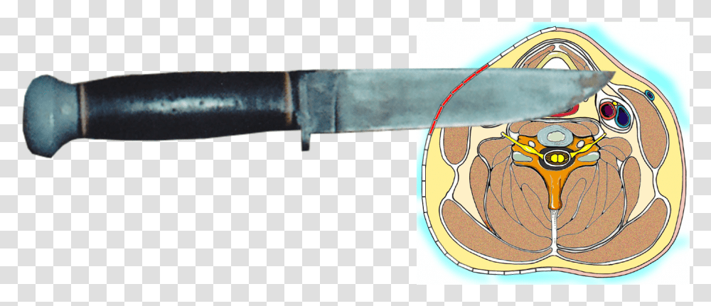 Bowie Knife, Weapon, Weaponry, Label Transparent Png