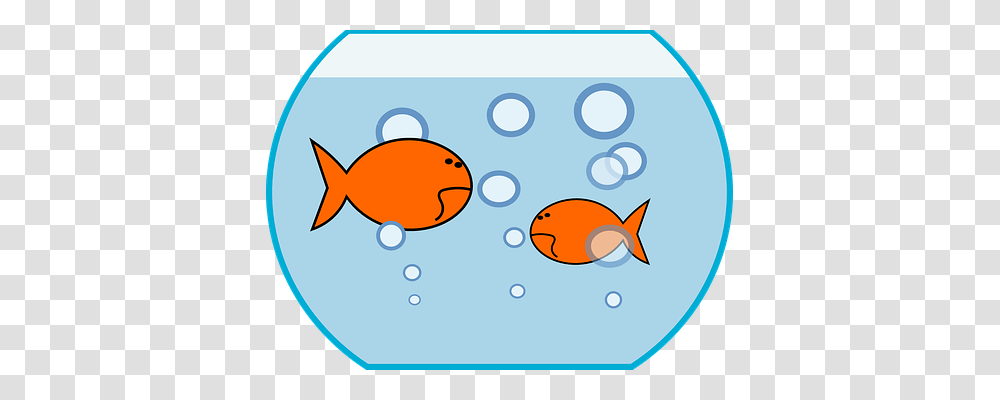 Bowl Emotion, Goldfish, Animal Transparent Png