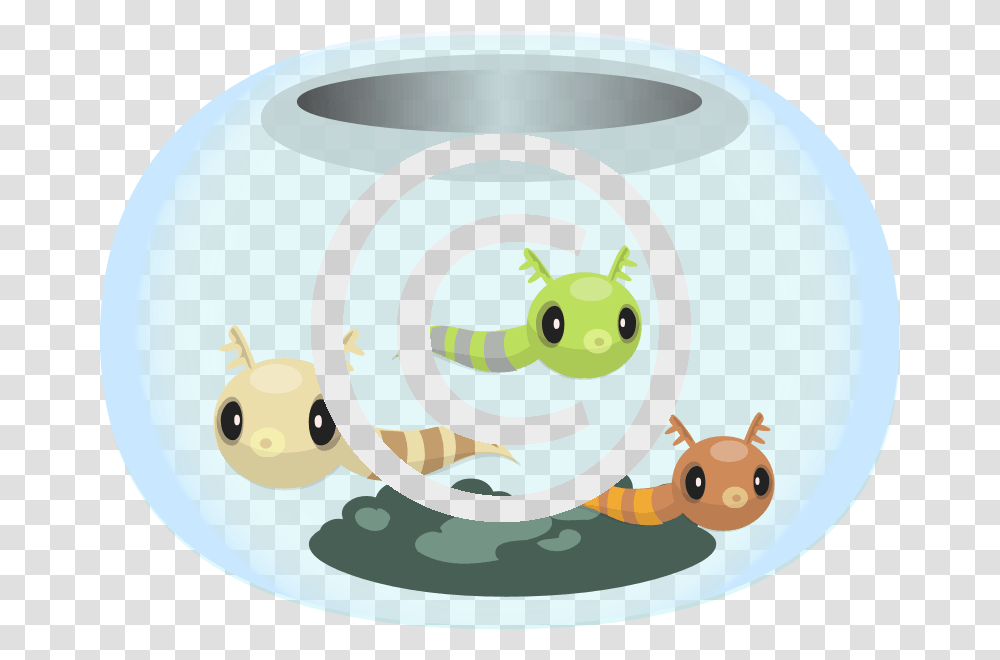 Bowl, Animal, Paper, Tissue, Paper Towel Transparent Png