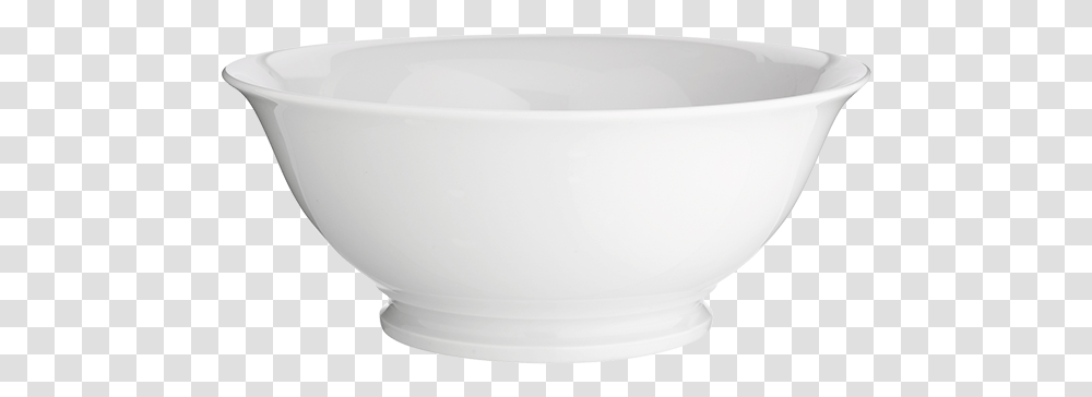 Bowl, Bathtub, Soup Bowl, Mixing Bowl, Rainforest Transparent Png