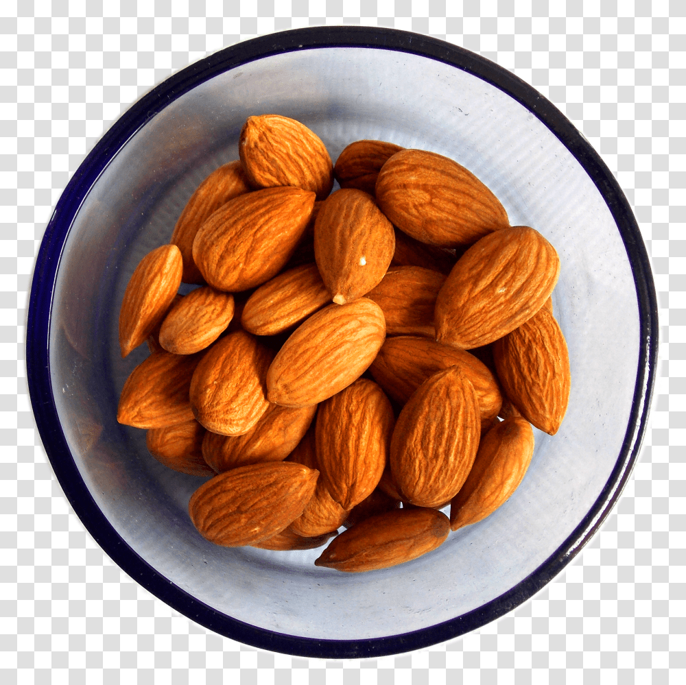 Bowl Of Almonds Bowl Of Almonds Transparent Png