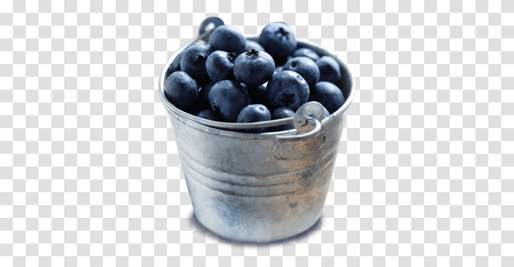 Bowl Of Blueberries Bucket Of Blueberries, Milk, Beverage, Drink, Plant Transparent Png