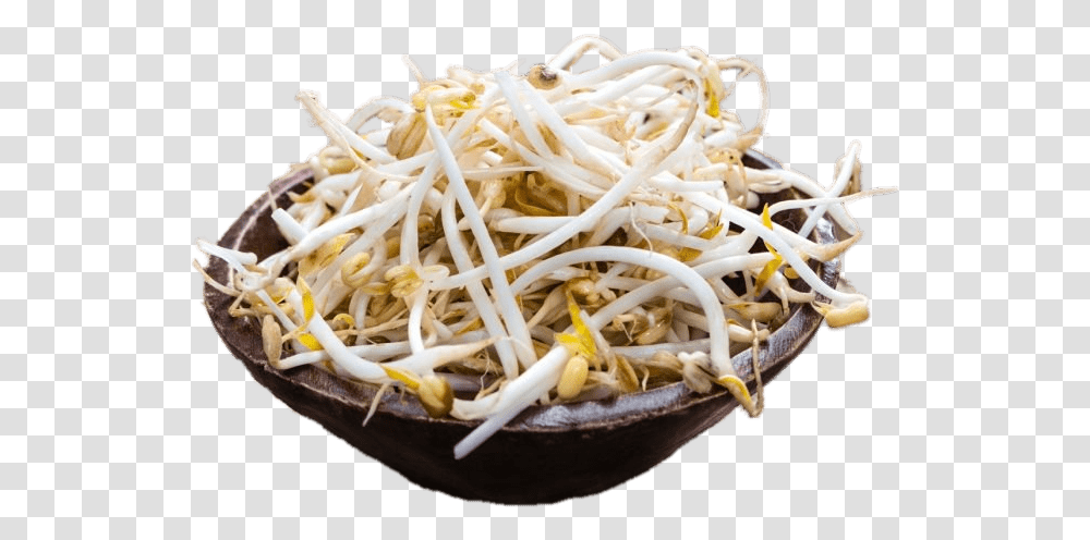 Bowl Of Soybean Sprouts, Plant, Produce, Food, Vegetable Transparent Png