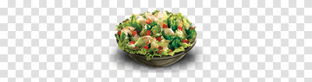 Bowl Salad Clipart Israeli Salad, Food, Plant, Meal, Lunch Transparent Png