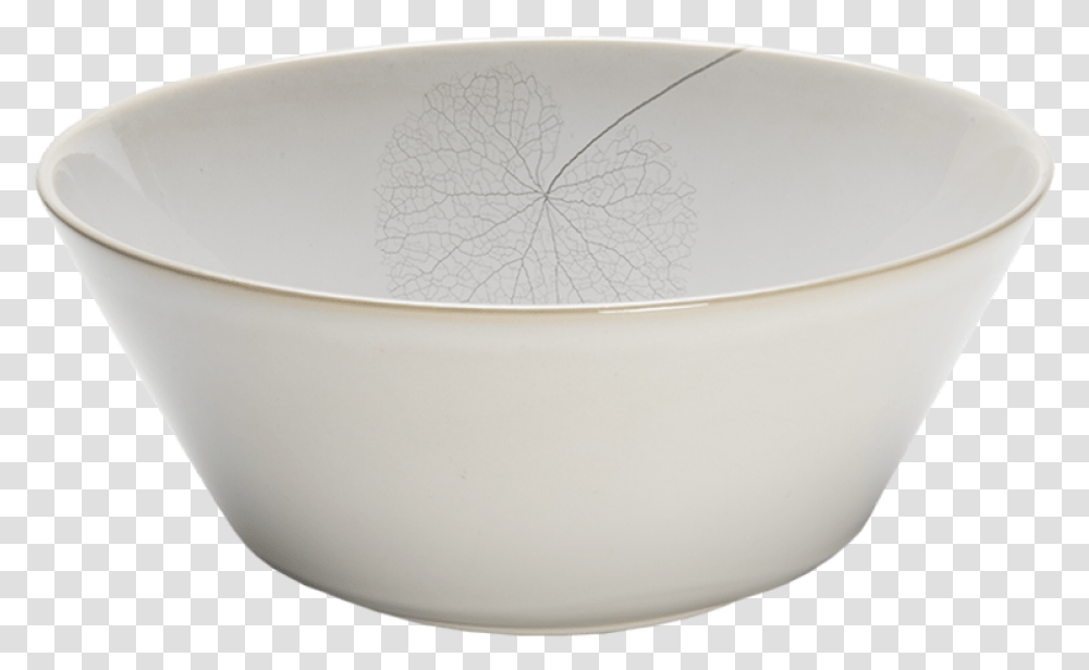Bowl, Soup Bowl, Mixing Bowl, Bathtub, Porcelain Transparent Png