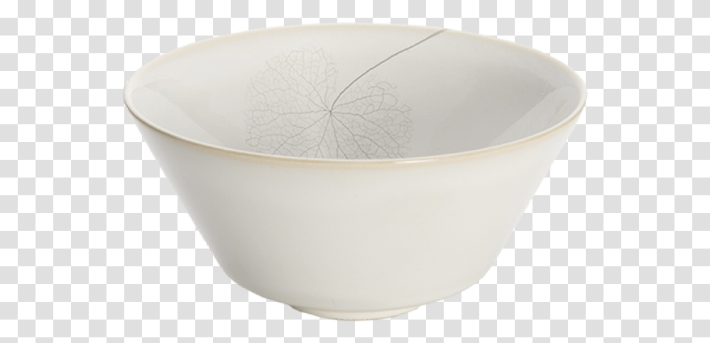 Bowl, Soup Bowl, Mixing Bowl, Bathtub Transparent Png