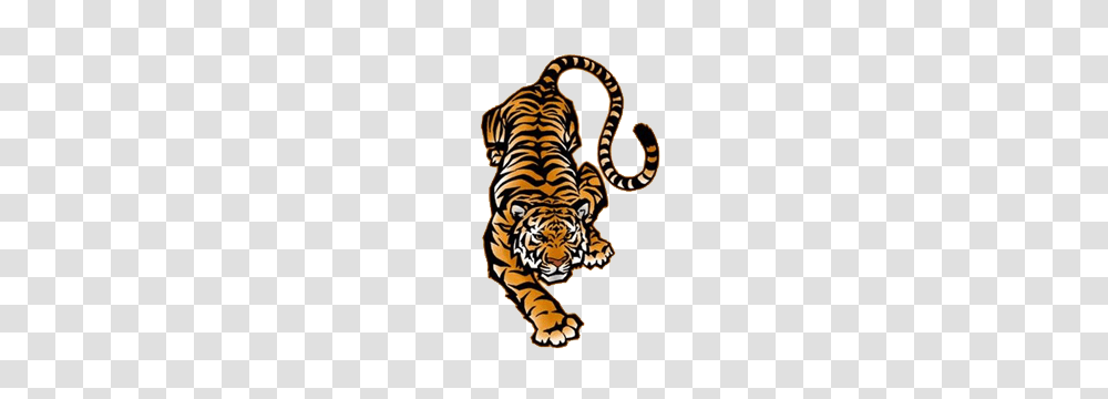 Bowling Clipart Tiger, Wildlife, Mammal, Animal, Zebra Transparent Png