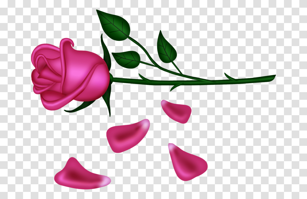 Bows Ribbons Balloons Flower, Petal, Plant, Blossom, Rose Transparent Png