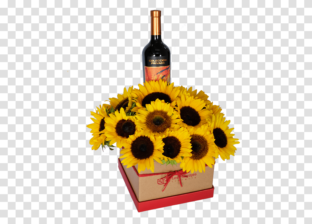 Box Girasoles Vino Sunflower, Plant, Beverage, Alcohol, Liquor Transparent Png