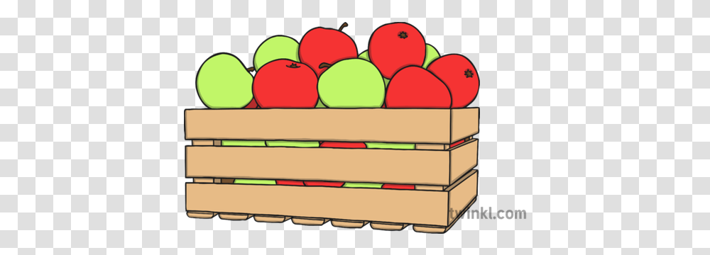 Box Of Apples Illustration Twinkl Mcintosh, Basket, Plant, Ball, Bowling Transparent Png