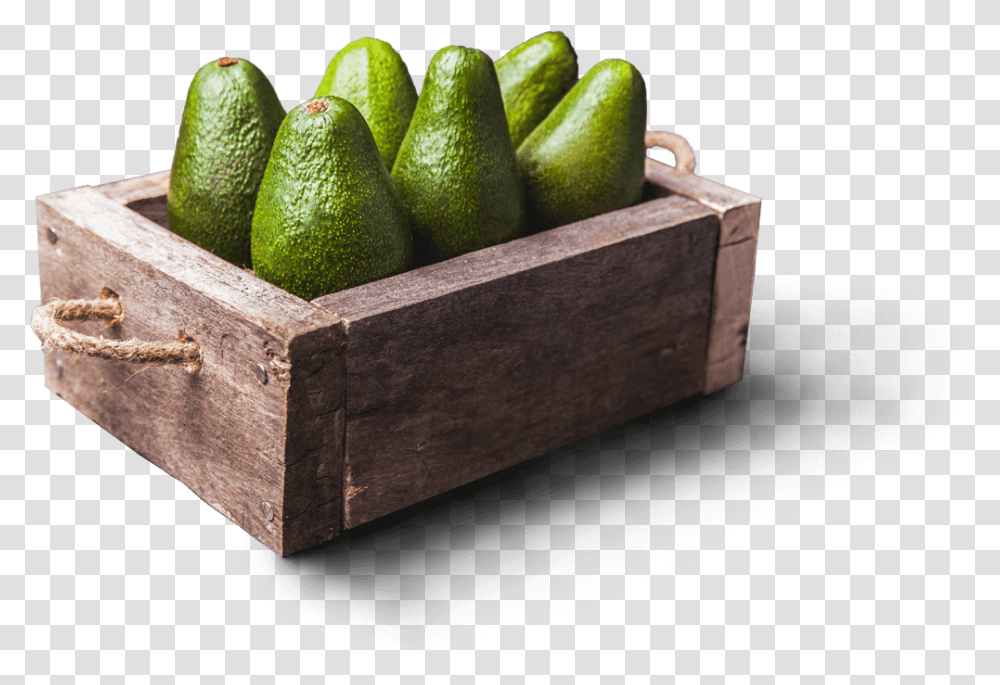 Box Of Avodados Box, Plant, Avocado, Fruit, Food Transparent Png