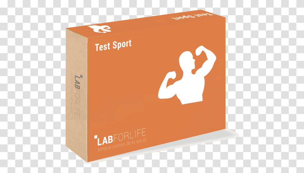 Box, Carton, Cardboard, Paper Transparent Png