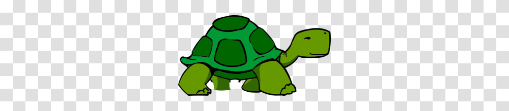 Box Turtle Clipart Clip Art Images, Animal, Green, Invertebrate, Amphibian Transparent Png