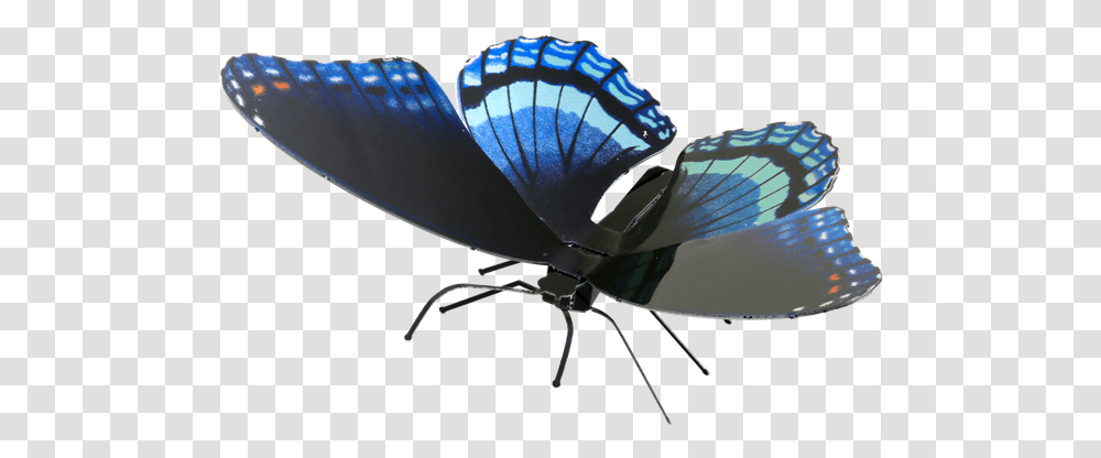 Boxart Red Spotted Purple Butterfly Mms130 Fascinations Limenitis Arthemis, Insect, Invertebrate, Animal, Moth Transparent Png