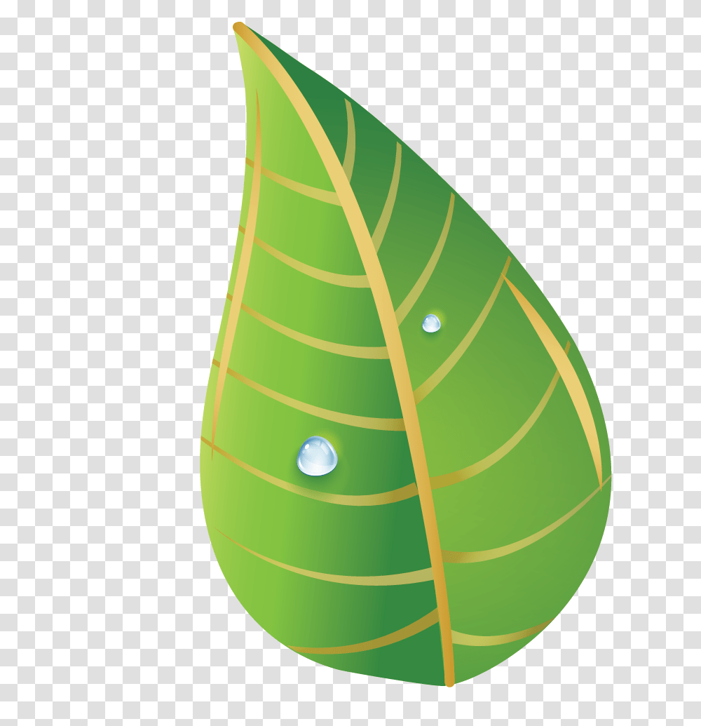 Boxed Portfolio Grid Kenko Leaf Illustration, Plant, Tree, Ornament, Food Transparent Png