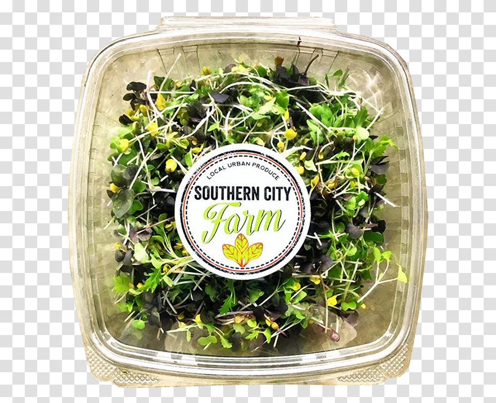 Boxed Sprouts Southerncityfarm, Plant, Bean Sprout, Produce, Vegetable Transparent Png