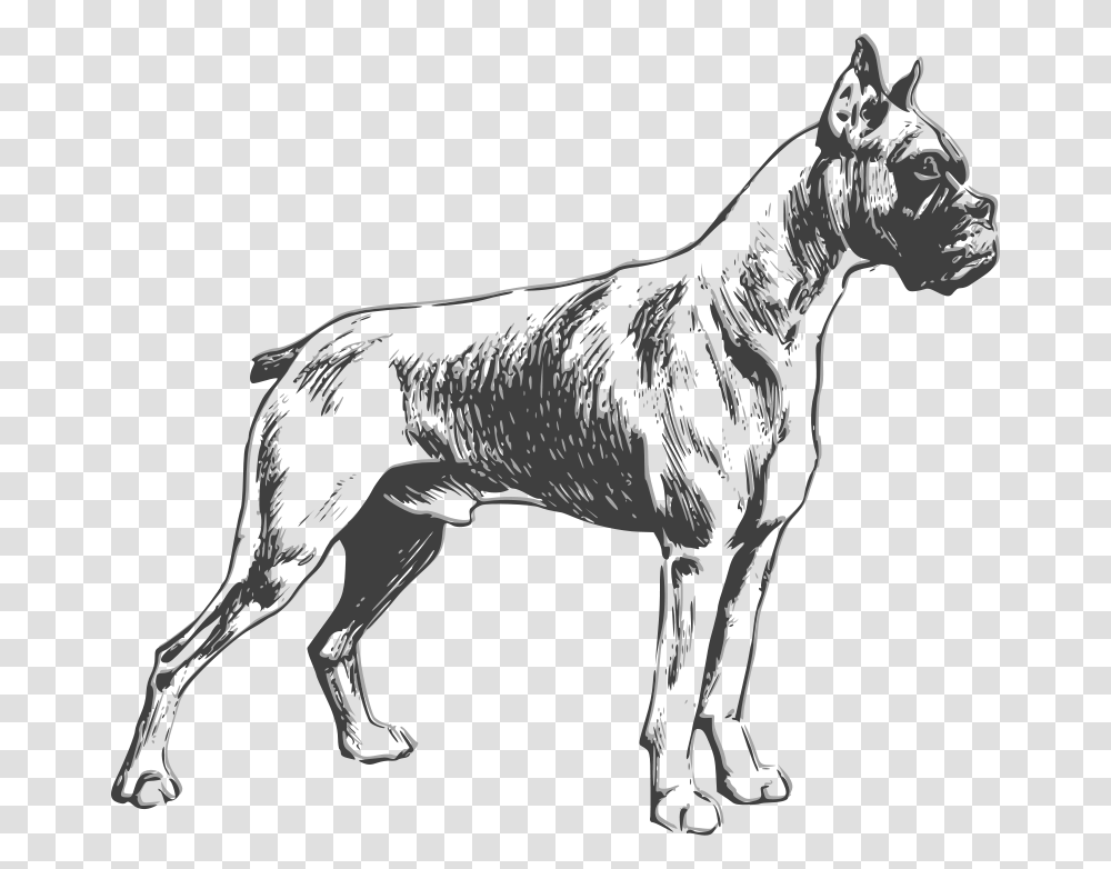 Boxer Dog Clip Art, Mammal, Animal, Horse, Great Dane Transparent Png