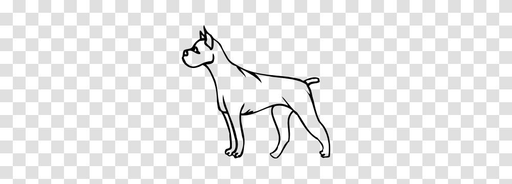 Boxer Dog Sticker, Bow, Pet, Animal, Mammal Transparent Png