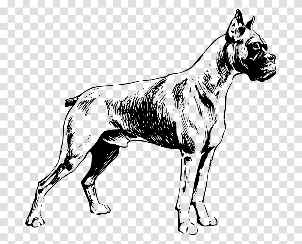 Boxer Valley Bulldog Dog Breed Pet Drawing, Gray, World Of Warcraft Transparent Png