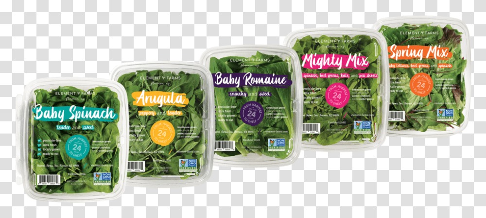 Boxes7 22, Plant, Vegetable, Food, Lettuce Transparent Png