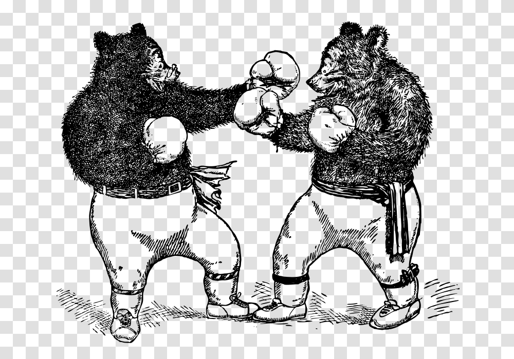 Boxing Bears, Animals, Gray, World Of Warcraft Transparent Png