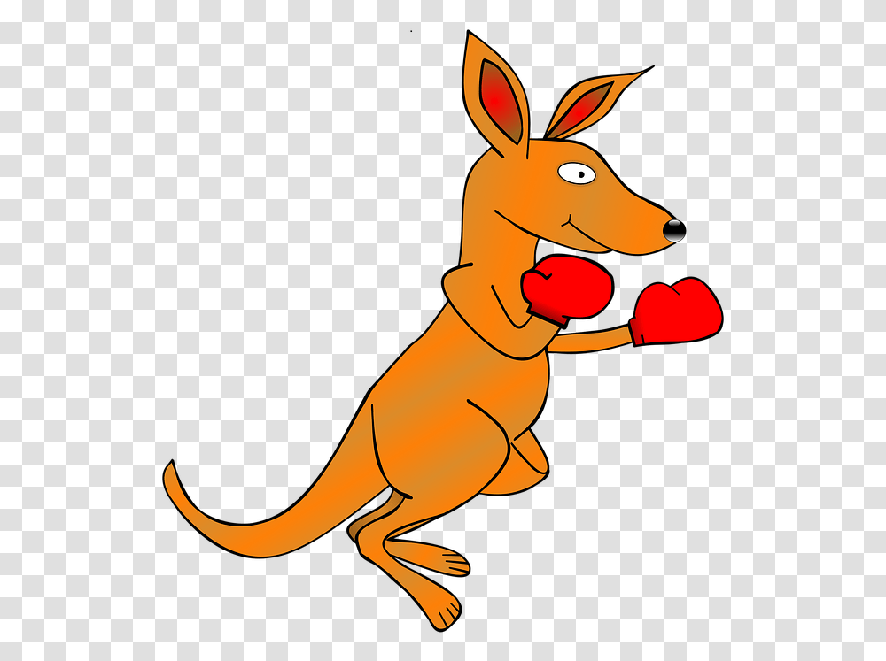 Boxing Kangaroo Clipart, Animal, Mammal, Wildlife, Wallaby Transparent Png