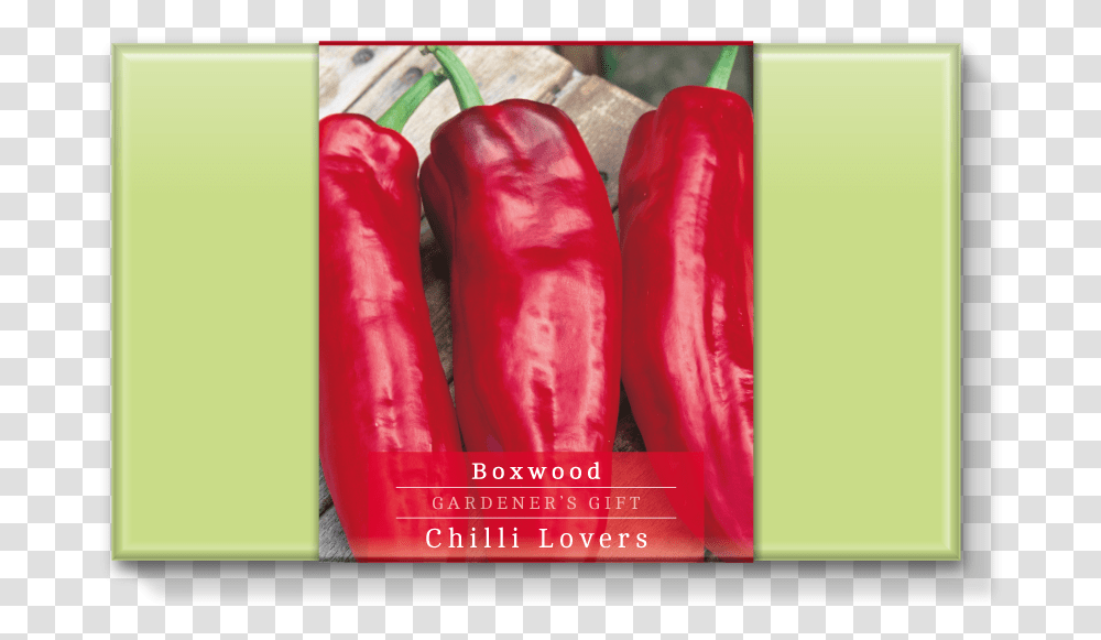 Boxwood Chilli Lovers Cayenne Pepper, Plant, Vegetable, Food, Bell Pepper Transparent Png