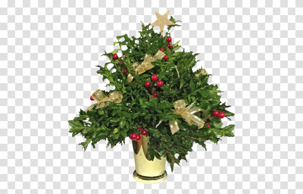 Boxwood Christmas Tree Christmas Tree, Plant, Flower, Vase, Jar Transparent Png