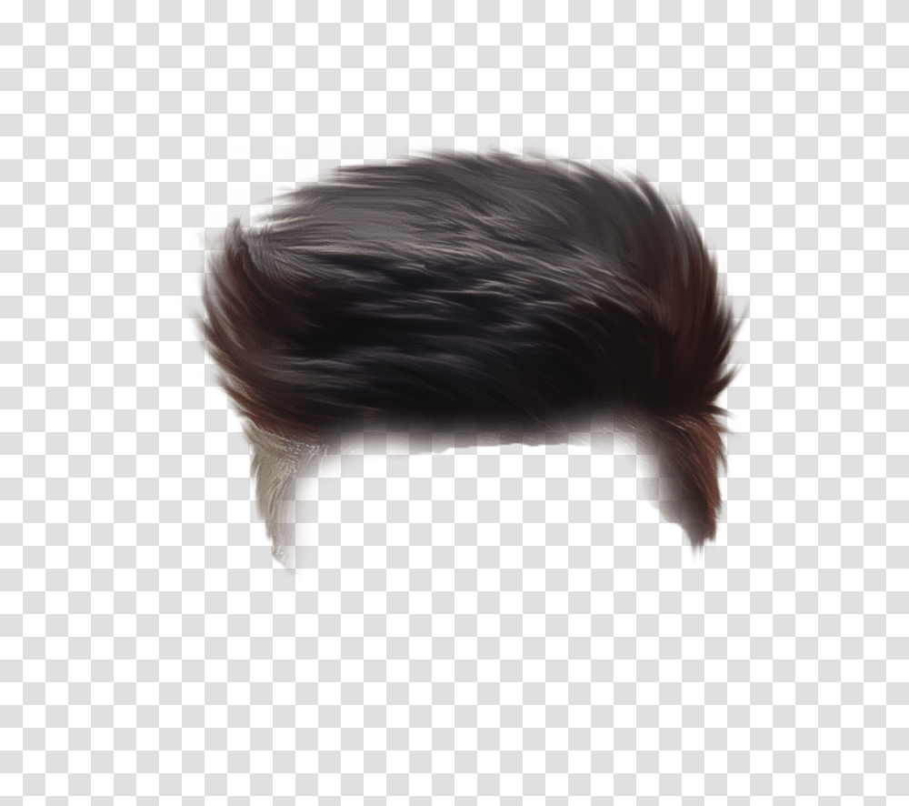 Boy Hair Download Shiva Editing Background Hair Boy Picsart, Head, Animal, Bird, Mammal Transparent Png