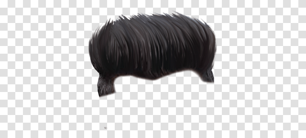 Boy Hair Hd, Mammal, Animal, Pig, Mole Transparent Png