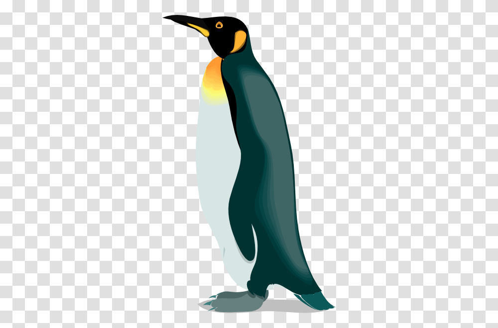 Boy Penguin Clipart Free Clipart Images, King Penguin, Bird, Animal Transparent Png
