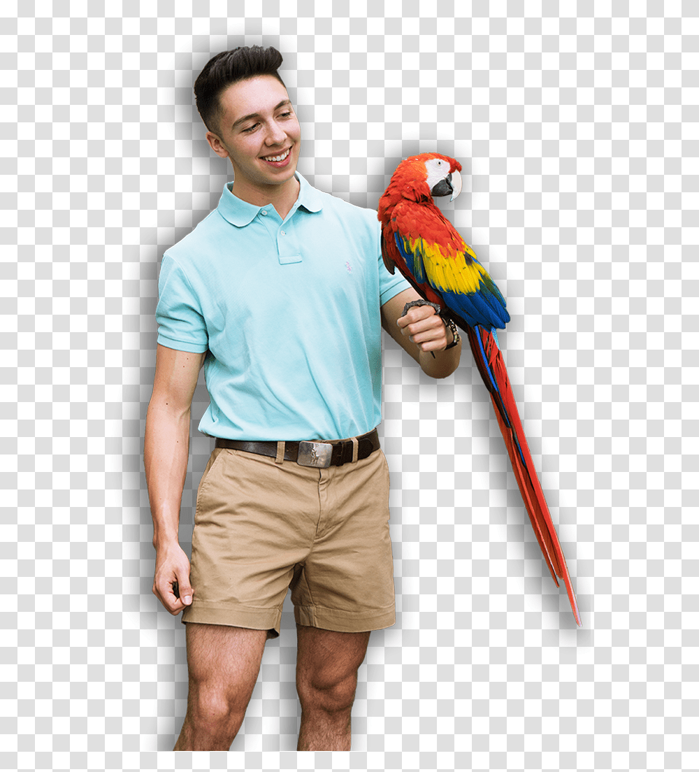 Boy With Parrot, Person, Human, Bird, Animal Transparent Png