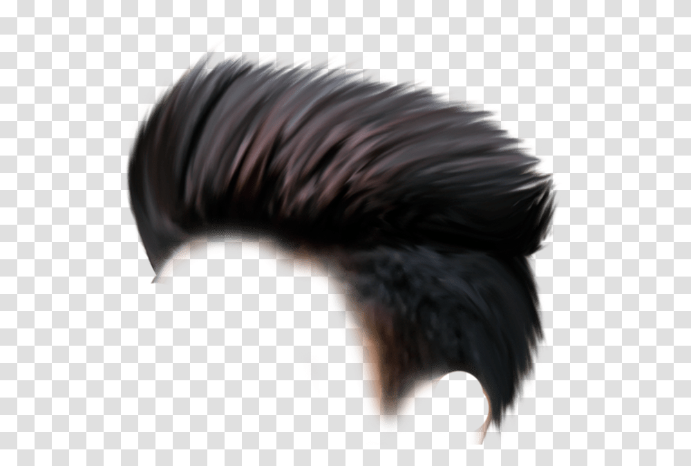 Boys Hair One Side Hair, Ornament, Person, Human, Pattern Transparent Png